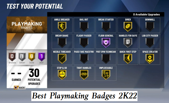 2k22 best playmaking badges